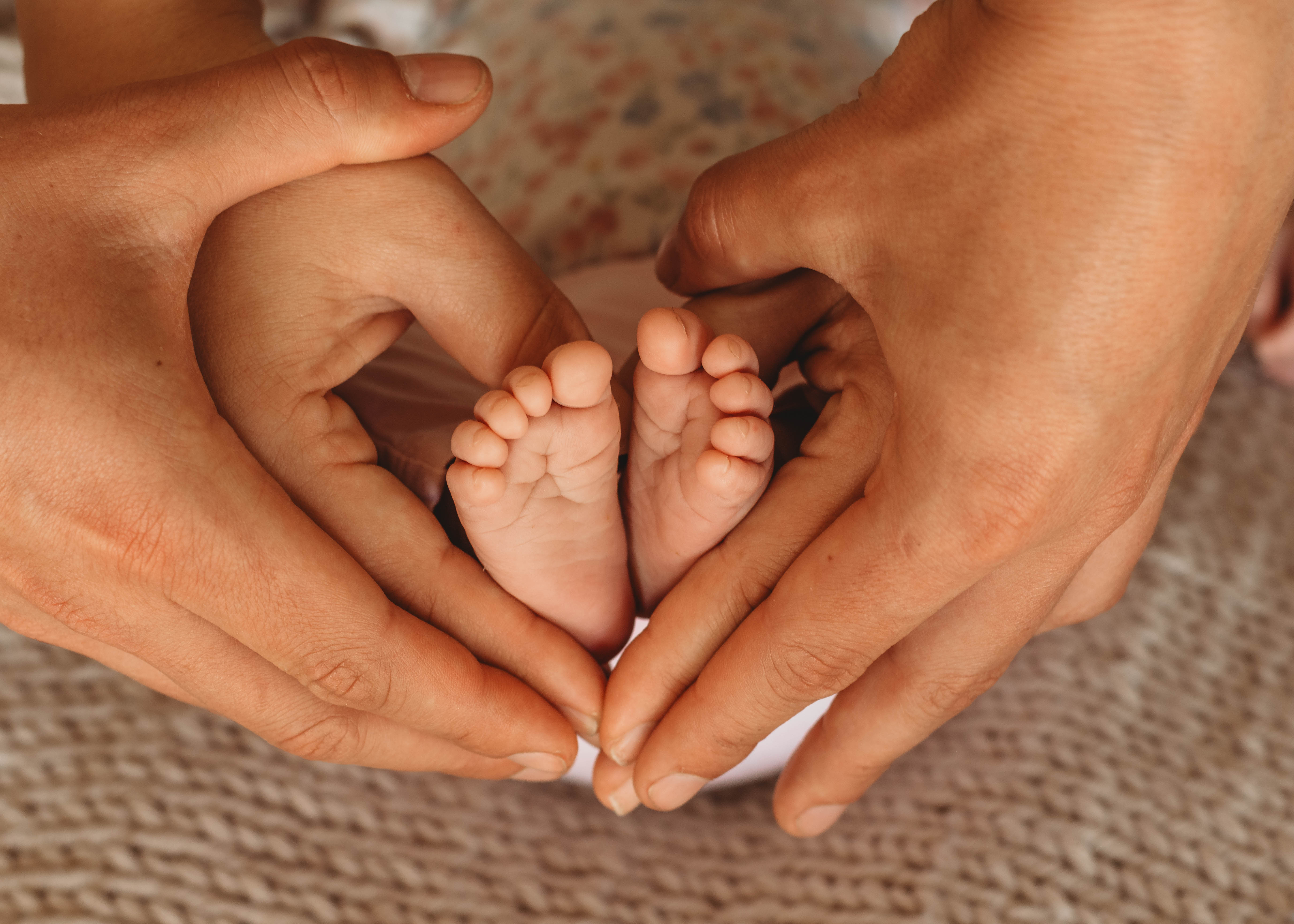 Gesetzliche Grundlagen